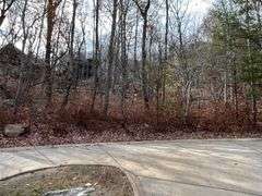 Wooded Lot in McLemore Development on Lookout Mtn