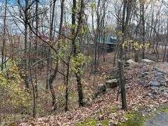 Wooded Lot in McLemore Development on Lookout Mtn