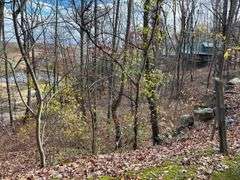 Wooded Lot in McLemore Development on Lookout Mtn