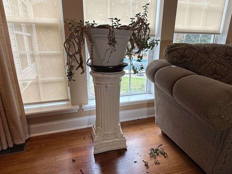 Plant Stand & Plant image