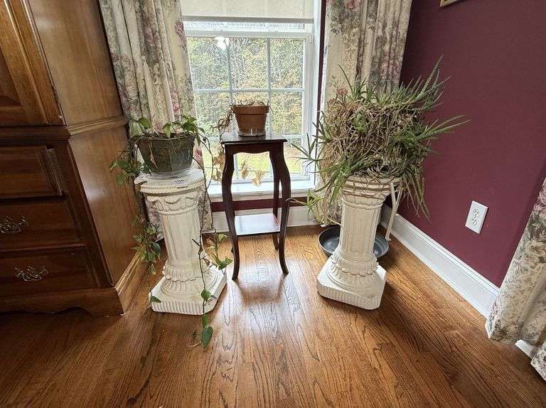 Three Plant Stands & Plants image