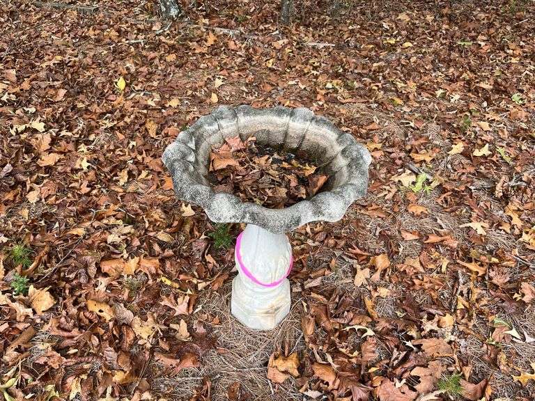 Birdbath image