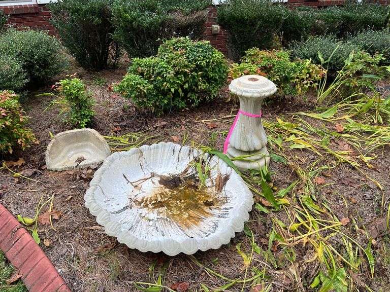 Birdbath image