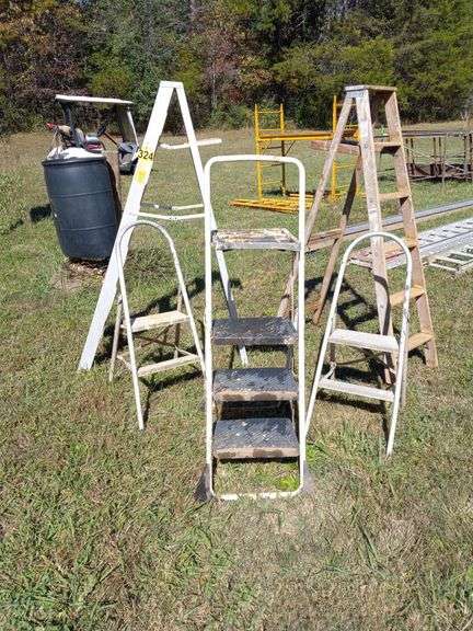 Two Ladders 6', 3 Step Ladders image