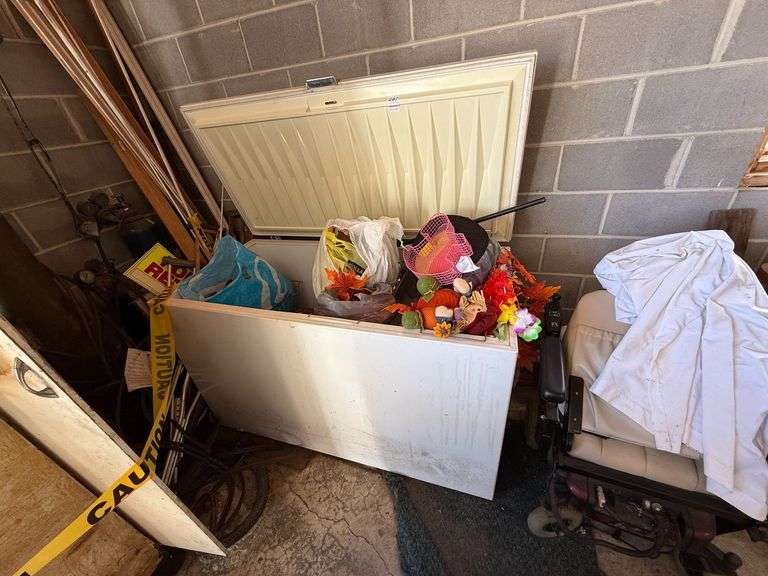 Freezer & Contents image