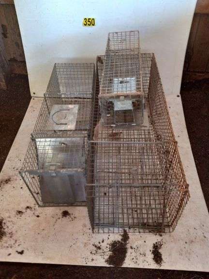 Three Animal Traps - 16" x 42", 11" x 36", 7" x 24" image