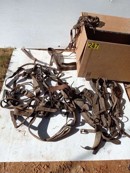 Antique Harnesses image