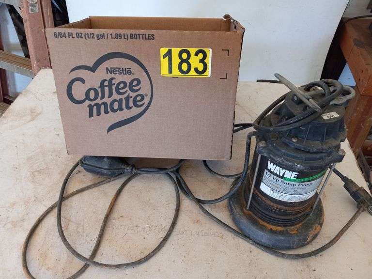 Wayne Sump Pump image