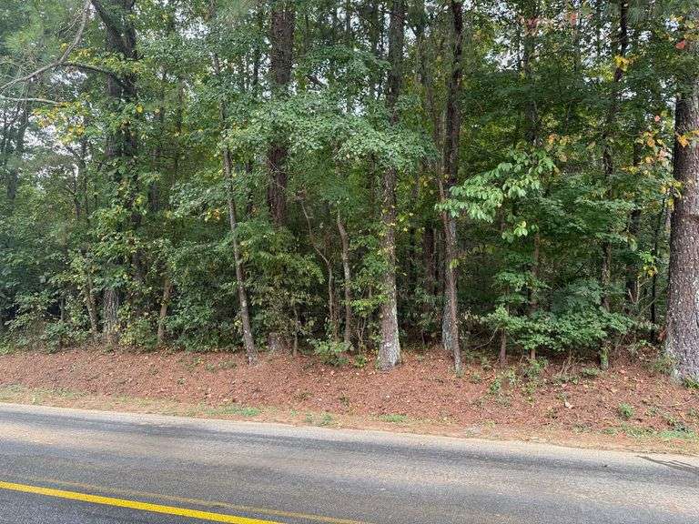 Tract 2 - 26.48 +/- Acres image