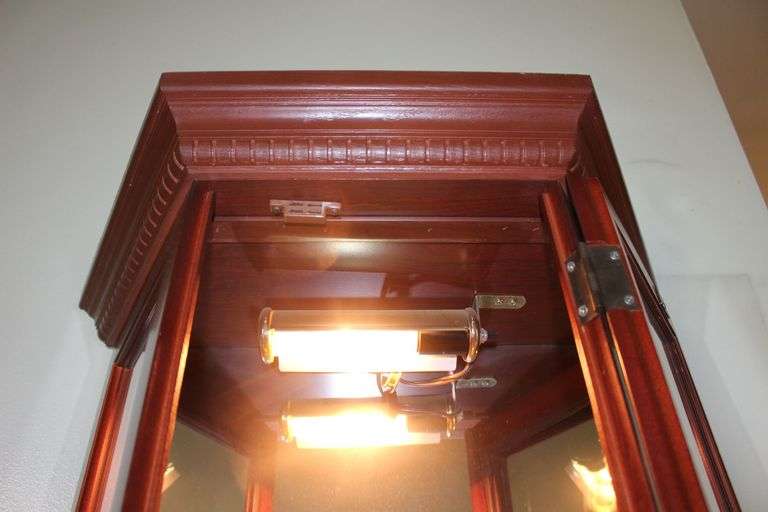 Glass Shelf Curio Cabinet with Light