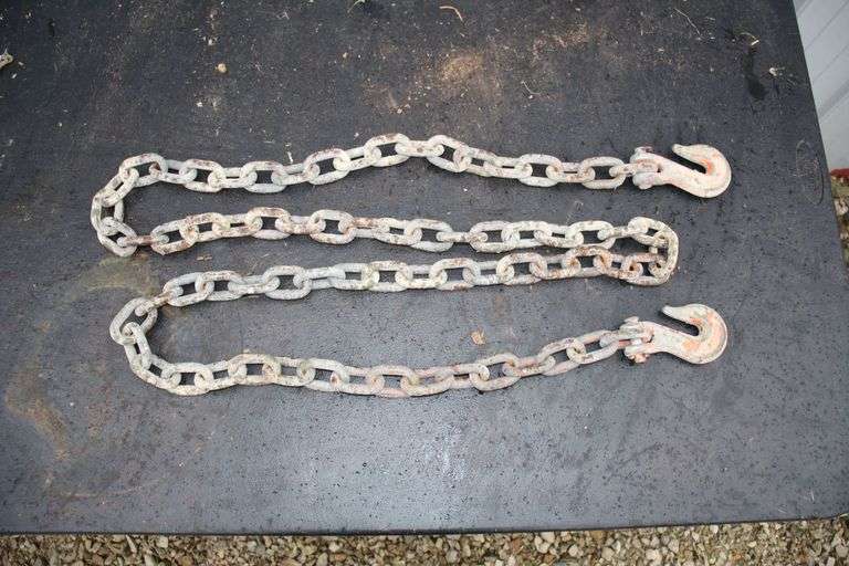 8.5 Ft. Log Chain with (2) Hooks image