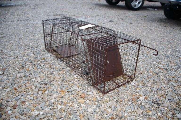 Wire Cage Trap image