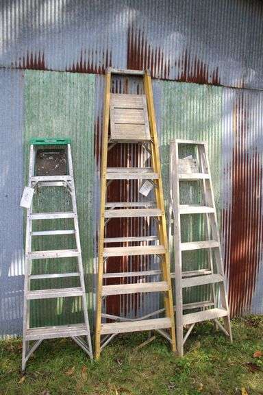 6 Ft. Werner Aluminum Step Ladder, 6 Ft. Aluminum Step Ladder, and 8 Ft. Green Bull Fiberglass Step Ladder image