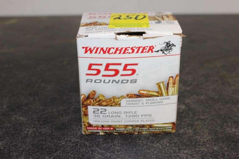 Winchester 22 Long Rifle 36 Grain Hollow Point Copper Plated Cartridges image