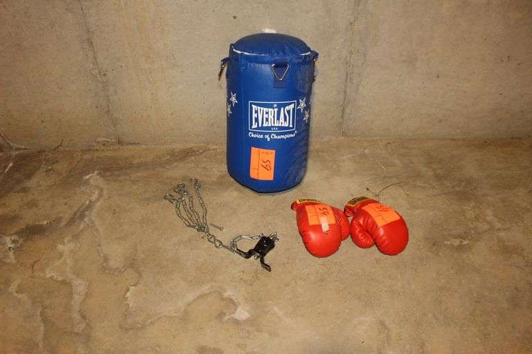 Everlast 9 lb Boxing Gloves and Everlast Punching Bag image