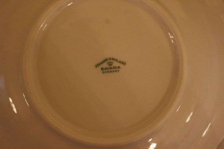 Johann Haviland Plates, Cups, Serving Plate, Cream Canisters, Gravy Boat, Bowls, Salt and Pepper Shakers China