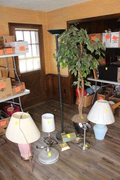 Fiscus Tree, Desk Lamps, and Pole Lamp image