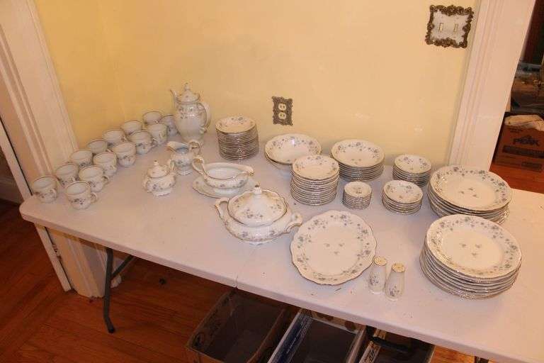 Johann Haviland Plates, Cups, Serving Plate, Cream Canisters, Gravy Boat, Bowls, Salt and Pepper Shakers China image