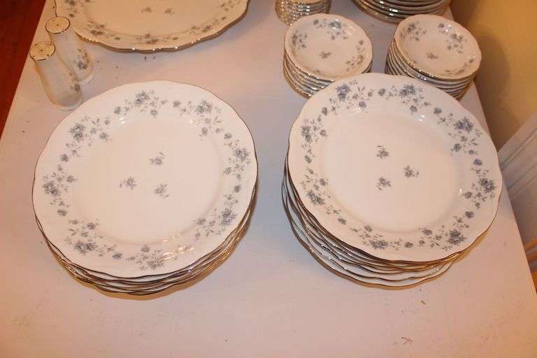Johann Haviland Plates, Cups, Serving Plate, Cream Canisters, Gravy Boat, Bowls, Salt and Pepper Shakers China