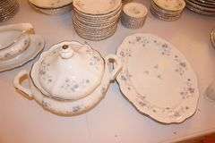 Johann Haviland Plates, Cups, Serving Plate, Cream Canisters, Gravy Boat, Bowls, Salt and Pepper Shakers China