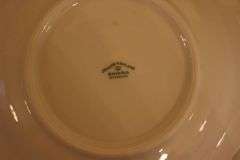 Johann Haviland Plates, Cups, Serving Plate, Cream Canisters, Gravy Boat, Bowls, Salt and Pepper Shakers China