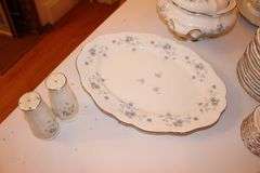 Johann Haviland Plates, Cups, Serving Plate, Cream Canisters, Gravy Boat, Bowls, Salt and Pepper Shakers China