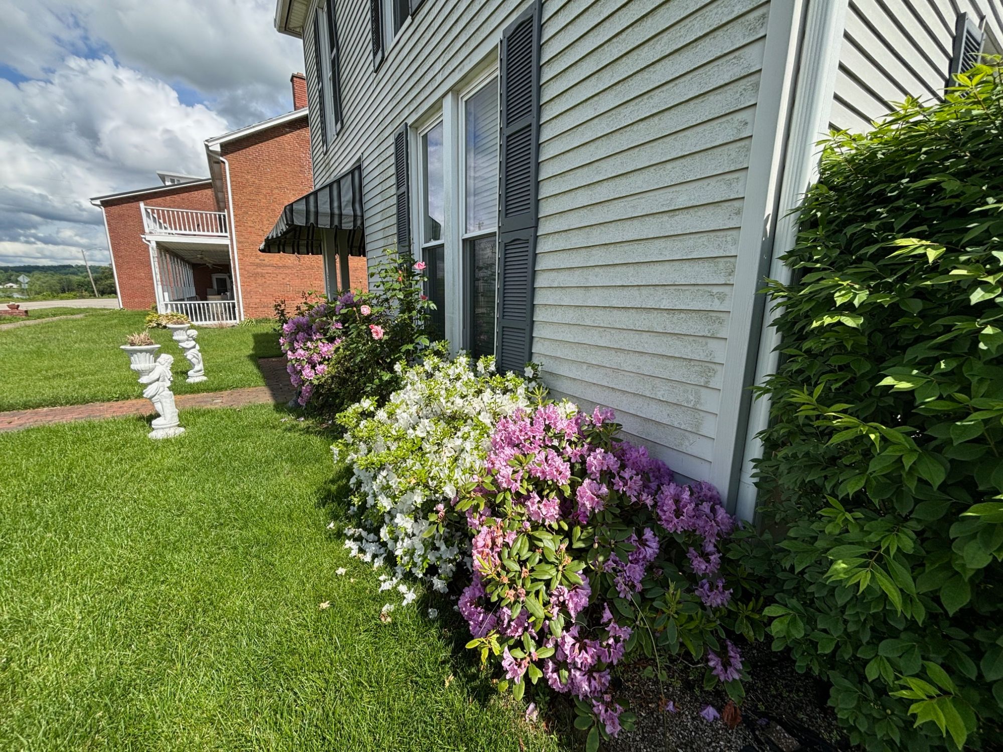Lot image 42
