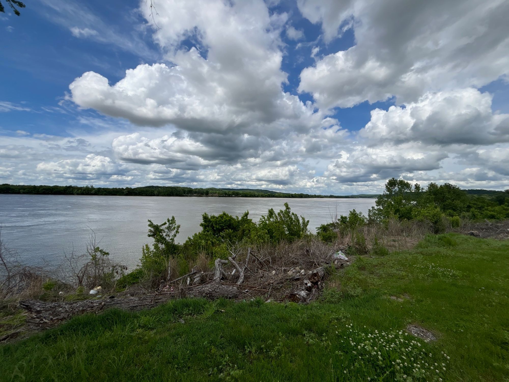 Lot image 49