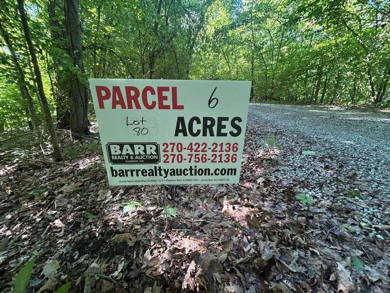 PARCEL 6: LOT 80 OF WOODHAVEN image