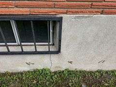 HOME - BASEMENT - GARAGE