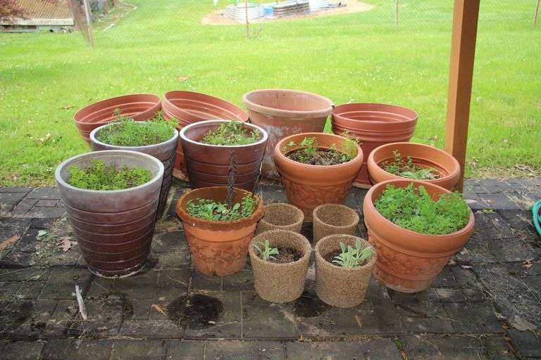 (15) Various Sized Flower Pots image