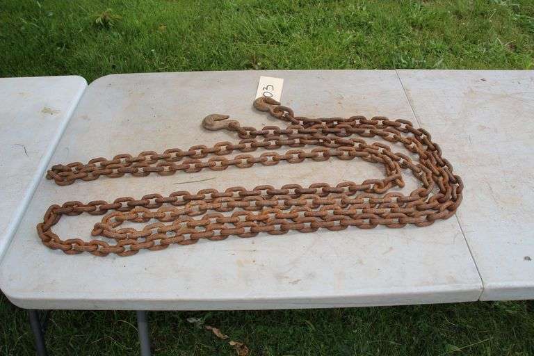 21 Ft Log Chain with 2 Hooks image