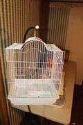 Vision Bird Cage, (2) Mosquito Traps, and Bird Cage with Frame