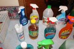 Windex, Pine Sol, Vinegar, Charcoal Lighter, Sharpies, and Misc. Cleaning Supplies