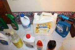 Windex, Pine Sol, Vinegar, Charcoal Lighter, Sharpies, and Misc. Cleaning Supplies