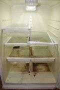 Haier Refrigerator/Freezer
