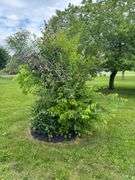 0.40 ACRE LOT - STORAGE BUILDING - OUTBUILDING