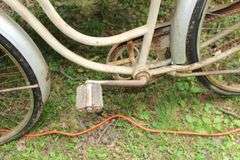 Schwinn Bicycle