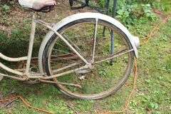 Schwinn Bicycle