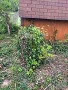 0.40 ACRE LOT - STORAGE BUILDING - OUTBUILDING