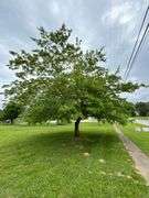 0.40 ACRE LOT - STORAGE BUILDING - OUTBUILDING