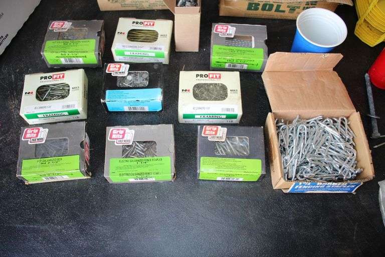 Nails, Bolts, Plastic Trays, Carriage Bolts, and Lag Screws