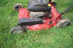 Cyclone 2 Wheel Lawn Cart and Murray 22 Inch Push Mower for Parts