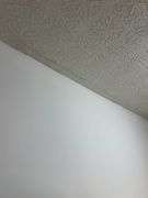 PARCEL 2: BRICK TRI-LEVEL HOME - 2 LOTS: 114 Thomason Ave, Leitchfield, KY 42754