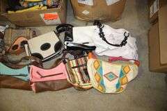 Various Designer Purses and Handbags