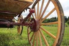 4-Wheel Horse Drawn Buggy