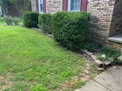 PARCEL 2: BRICK TRI-LEVEL HOME - 2 LOTS: 114 Thomason Ave, Leitchfield, KY 42754