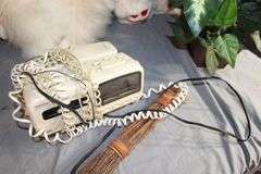 Sears Typewriter, Bear Stuffed Animals, Cat Figurine, Artificial Flowers and Flower Pot, Febreze Air Freshener, and Misc.