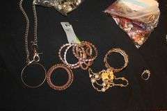 Chains, Necklaces, Bracelets, Earrings, Ring, and Misc. Costume Jewelry
