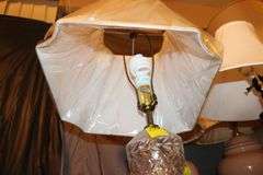 (2) White Lamps with Globes, (6) Lamps, (2) Wooden Base Lamps, and Golf Bag Lamp